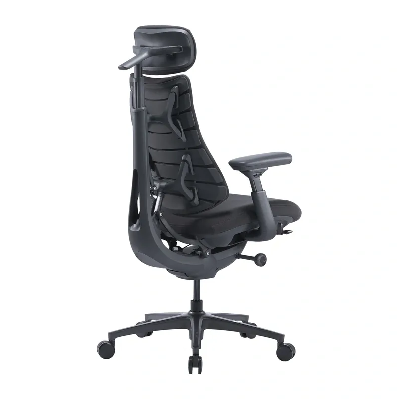 LiberNovo Omni Pro 48 cm Ergonomic Chair (Graphite)